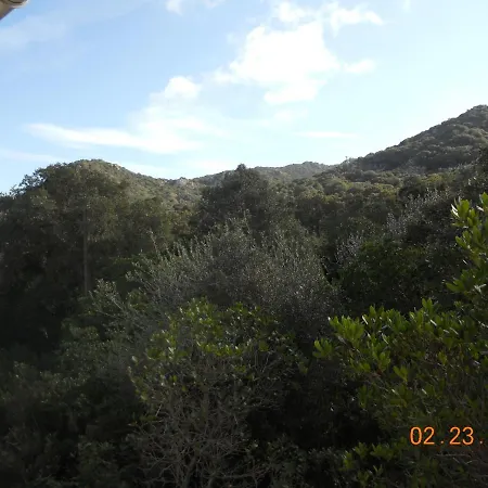 Bed & Breakfast La Falcia - Figari - Corse Du Sud *